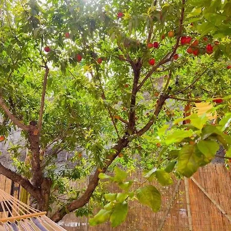 Domomea Holiday home Sarroch